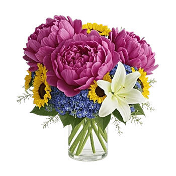 Petal Radiance Bliss