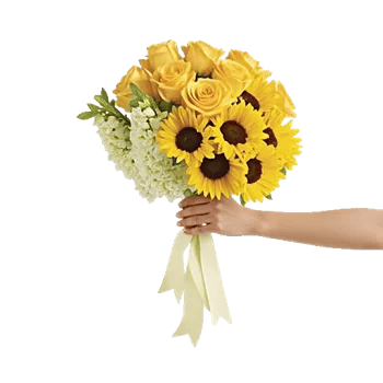 Radiant Bloom Cascade