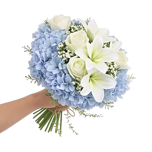 Serene Petal Harmony