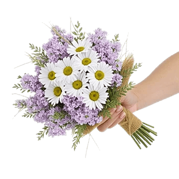Petal Harmony Bliss