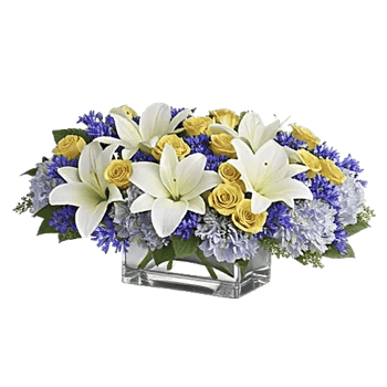 Graceful Lily Display