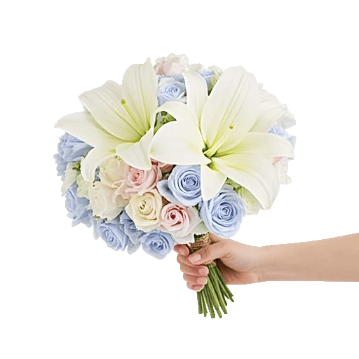 Ivory Blossom Radiance