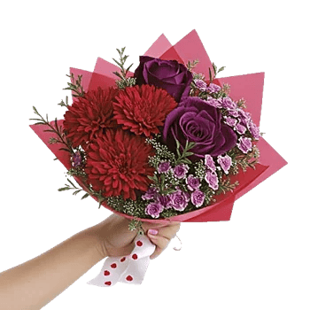 Crimson Rose Elegance