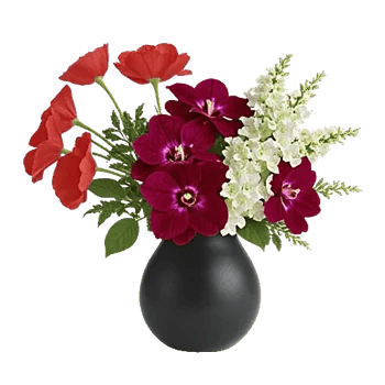 Crimson Blossom Harmony