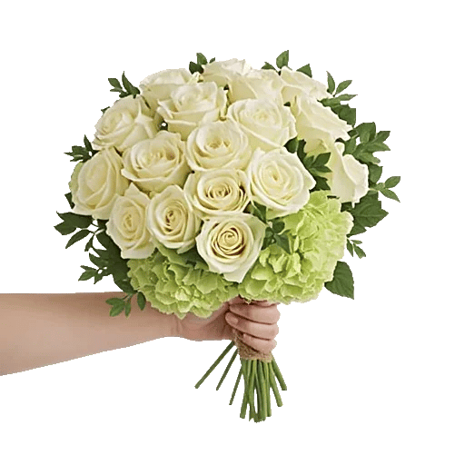 Ivory Garden Grace