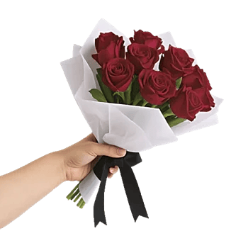 Crimson Rose Elegance