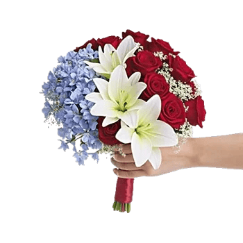 Blossom Petal Serenity