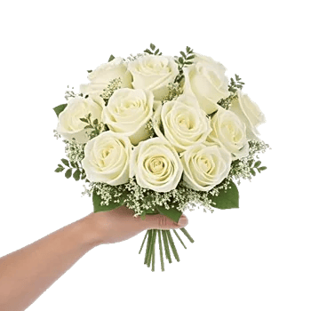 Ivory Garden Grace