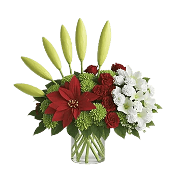 Petal Radiance Bliss