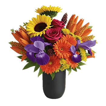 Radiant Bloom Cascade