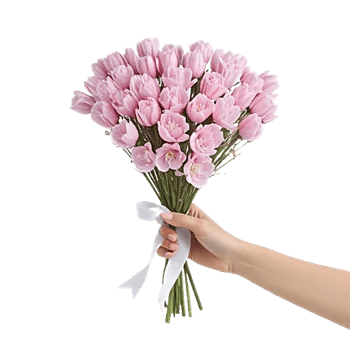 Cherry Blossom Magic