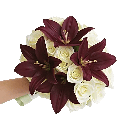 Blushing Rose Symphony