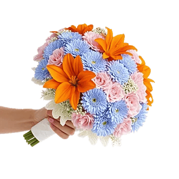 Blushing Rose Symphony