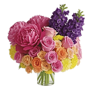 Petal Radiance Bliss
