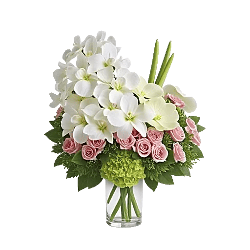 Orchid Bloom Cascade