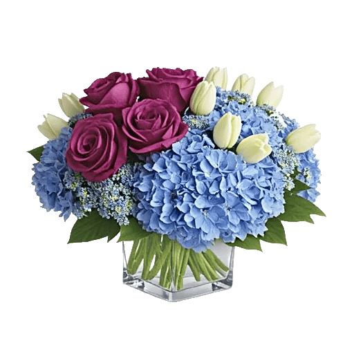 Serene Petal Harmony