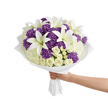 Ivory Garden Grace