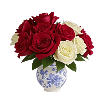 Crimson Rose Elegance