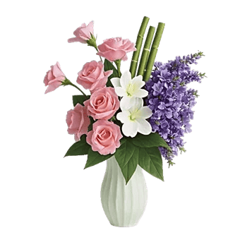 Ivory Blossom Radiance