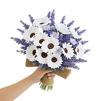 Blossom Petal Serenity