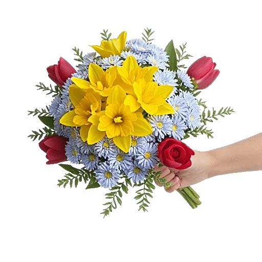 Blossom Harmony Display