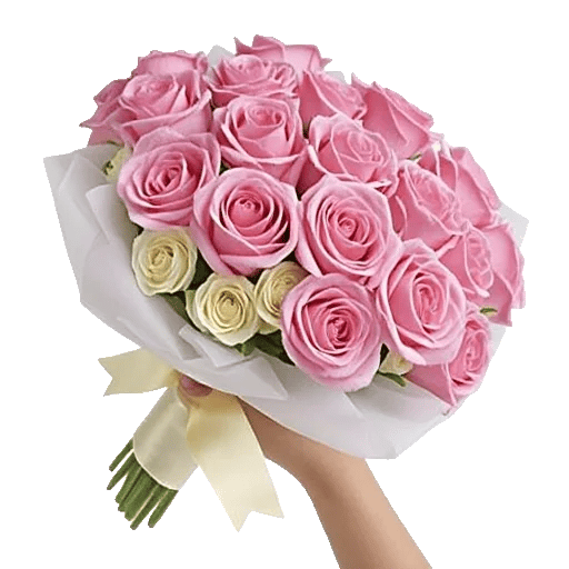 Blushing Rose Symphony
