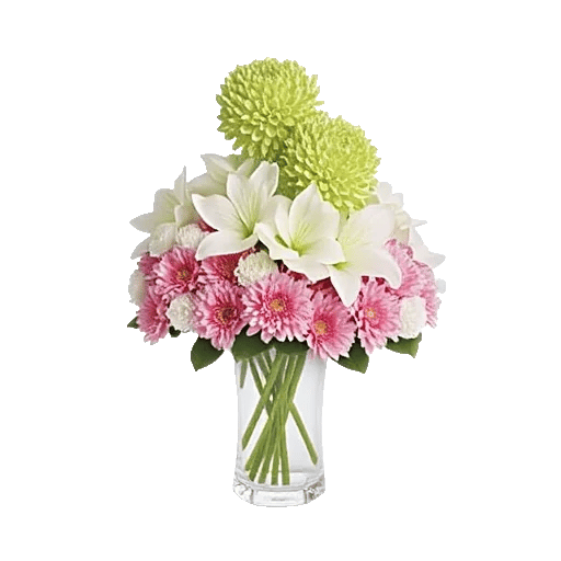 Ivory Blossom Radiance