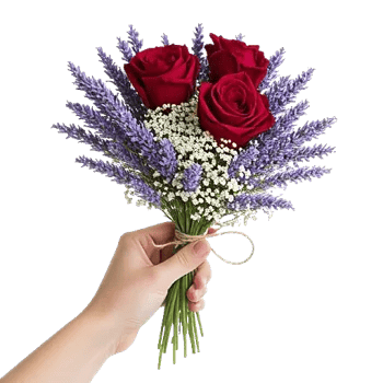 Crimson Rose Elegance