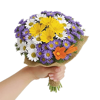 Petal Harmony Bliss