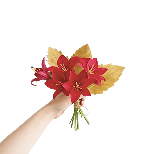 Crimson Lily Glow