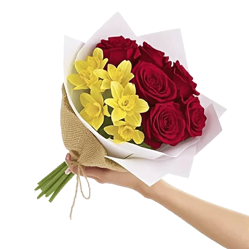 Crimson Rose Elegance