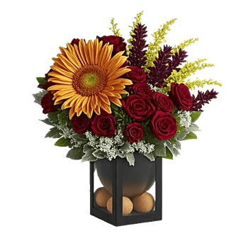 Crimson Blossom Harmony