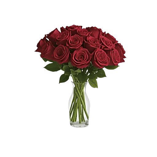 Crimson Rose Elegance