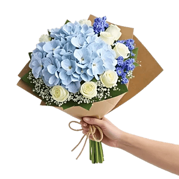 Serene Petal Harmony