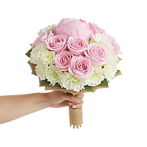 Pastel Pink Roses