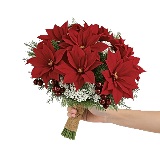 Crimson Rose Elegance