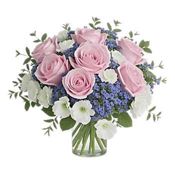 Blossom Petal Serenity