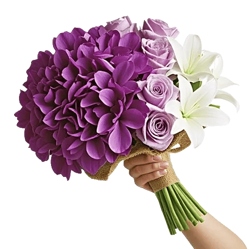 Serene Petal Harmony