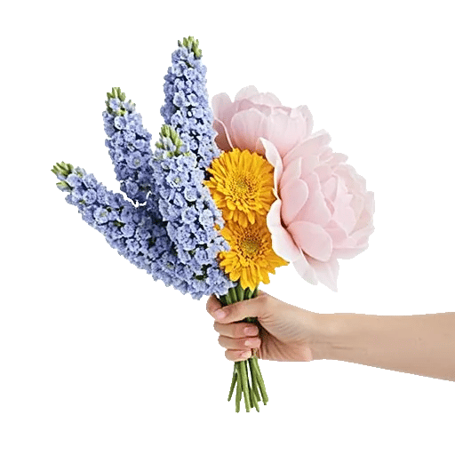 Pastel Blossom Grace