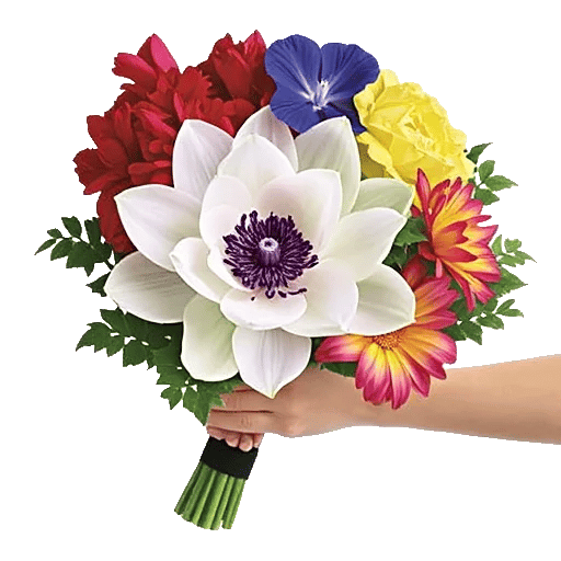 Ivory Blossom Radiance