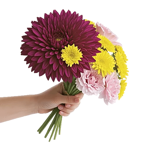 Radiant Bloom Cascade