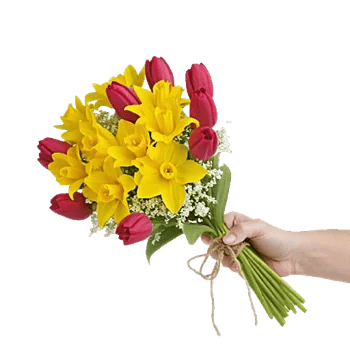 Blossom Harmony Display