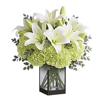Ivory Blossom Radiance