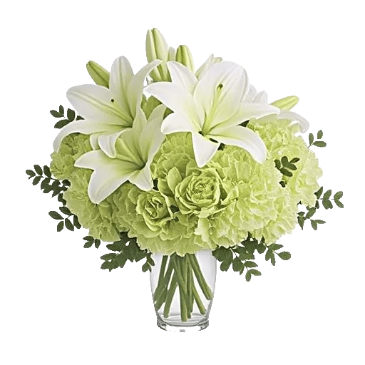 Ivory Blossom Radiance