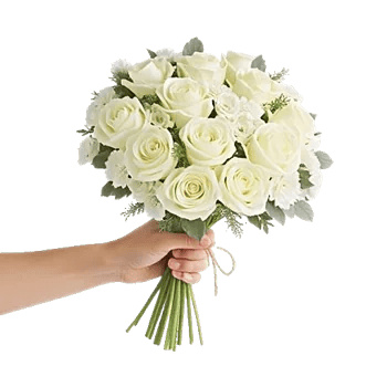 Ivory Garden Grace