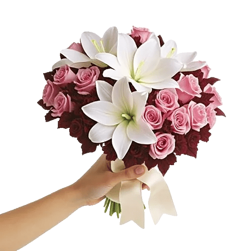 Blushing Rose Symphony