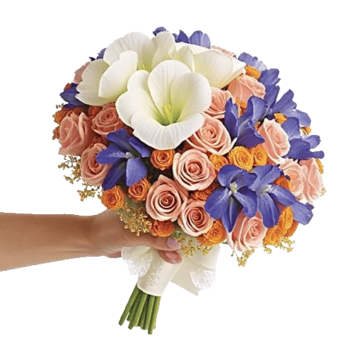 Ivory Blossom Radiance