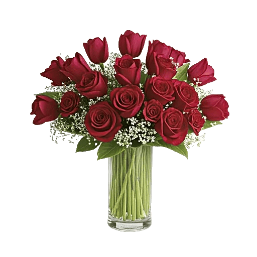 Velvet Tulip Display
