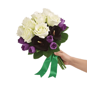 Elegant Calla Lilies