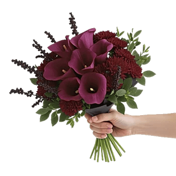 Elegant Calla Lilies